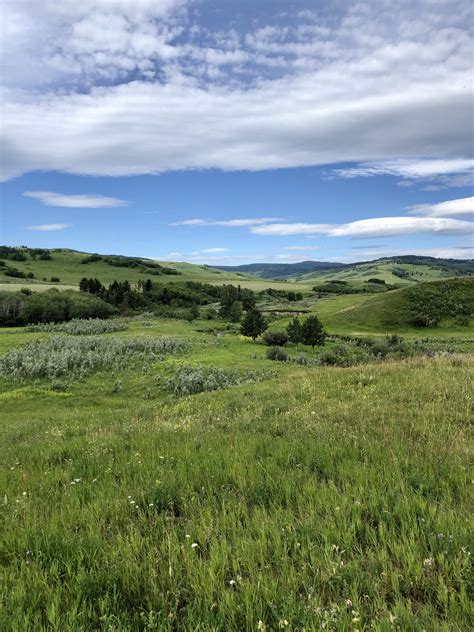 Prairie .